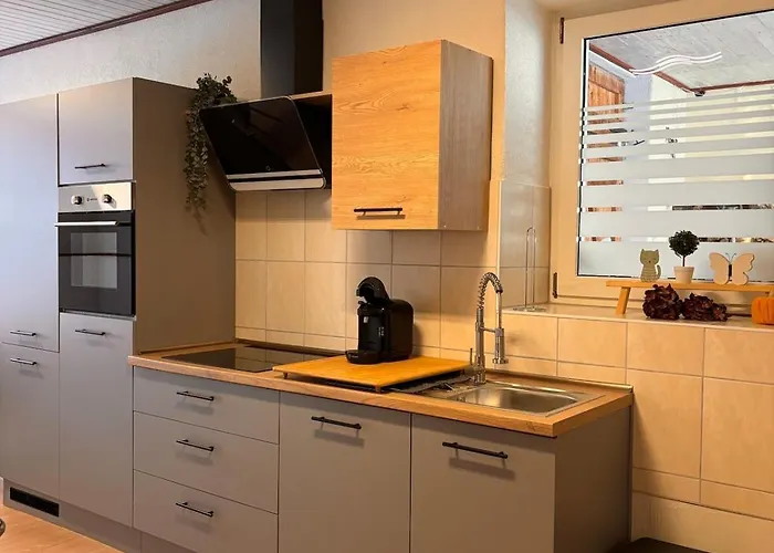 Am Schleizer Dreieck Schleiz